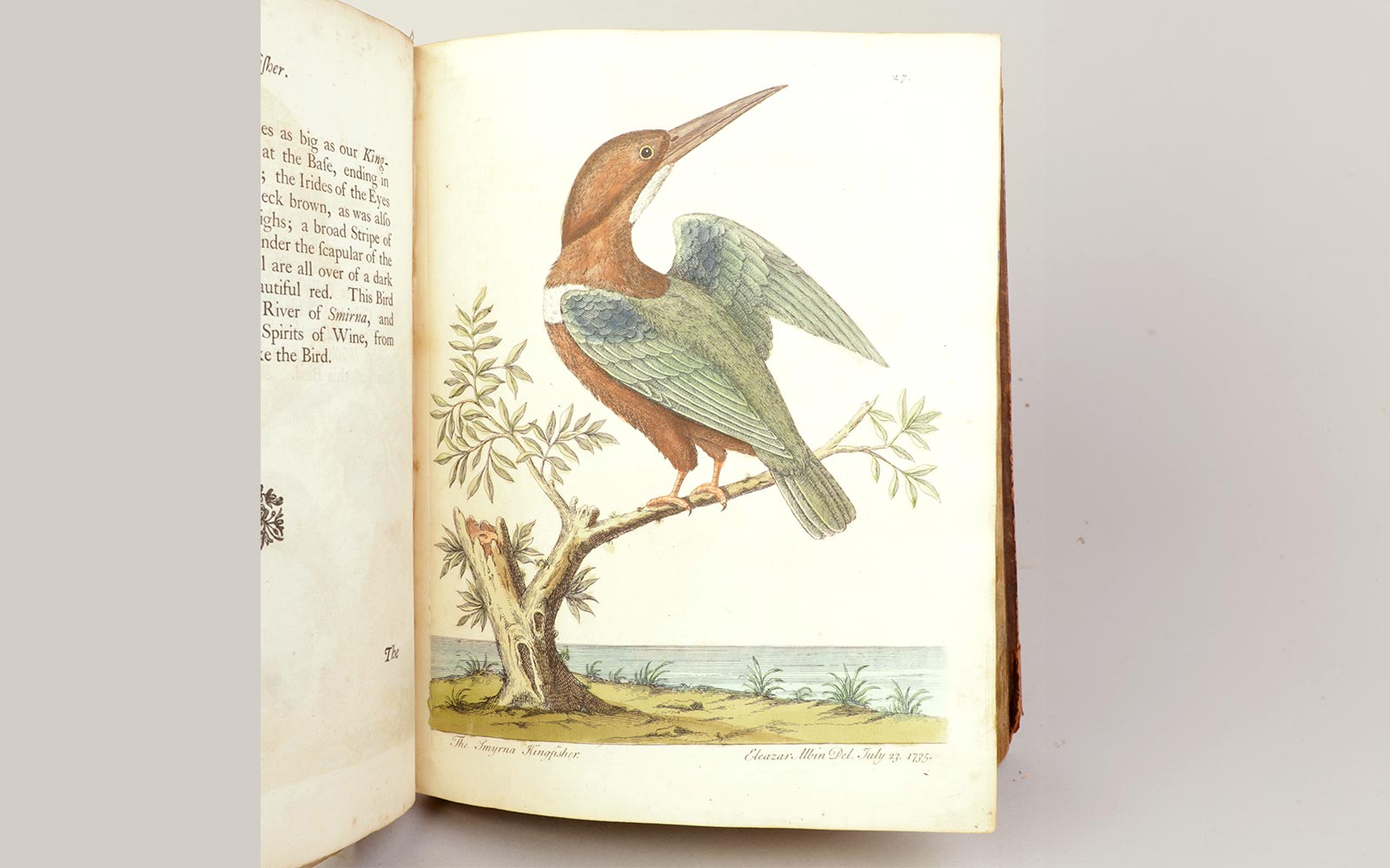 A natural history of Birds