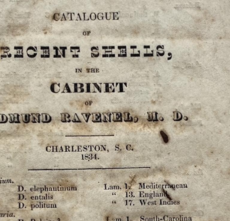 Ravenel's Catalogue of Recent Shells