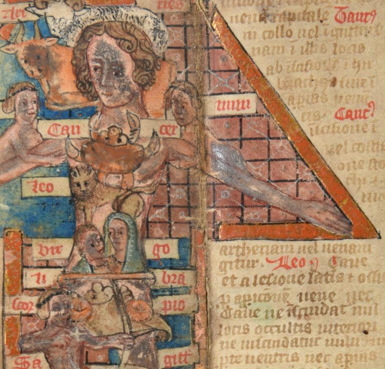 Medieval illuminated physician’s almanac