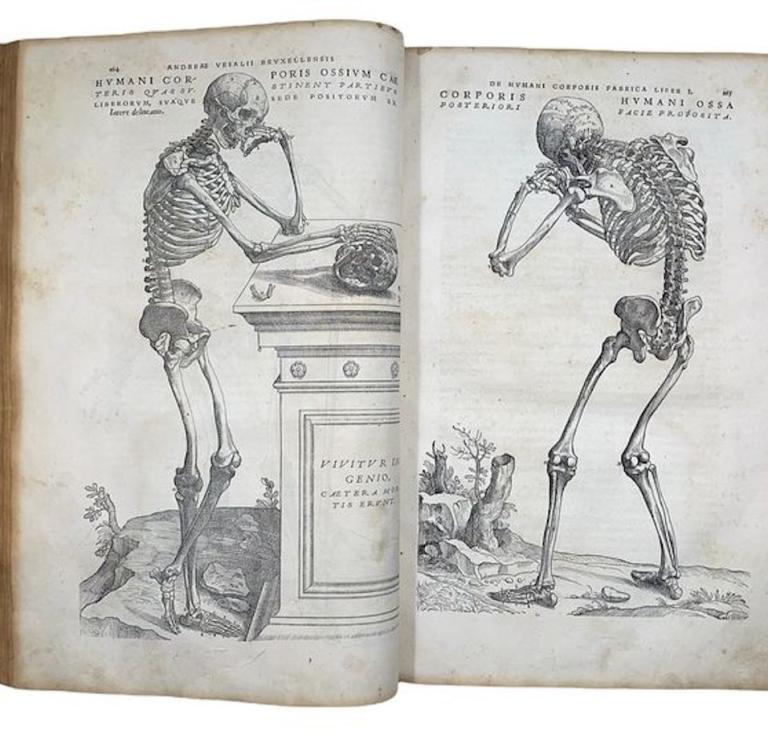 Vesalius first edition