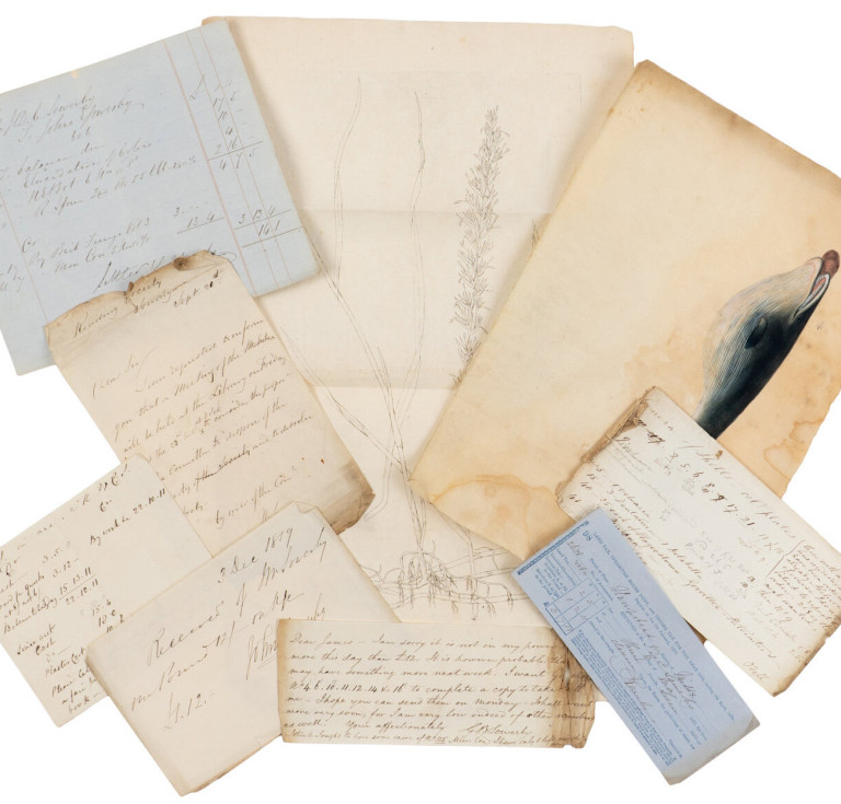 Part of the Sowerby archive